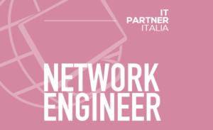 cat_networking-engineer_ITA